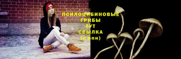 mdma Корсаков