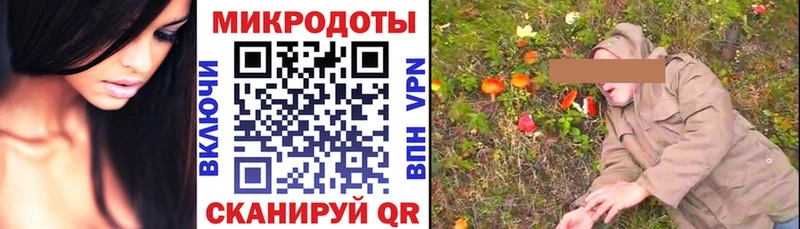 Псилоцибиновые грибы Magic Shrooms  продажа наркотиков  Хабаровск 